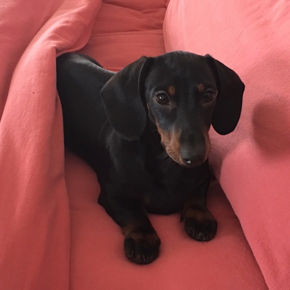 Meet your Posher, Ruth - Picture 8 of 16